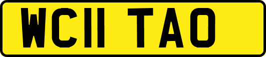 WC11TAO