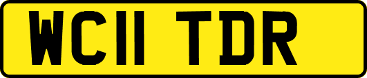 WC11TDR