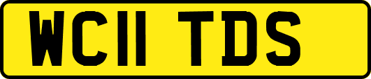 WC11TDS