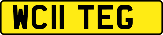 WC11TEG