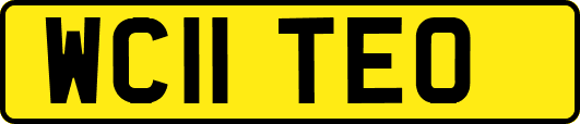 WC11TEO