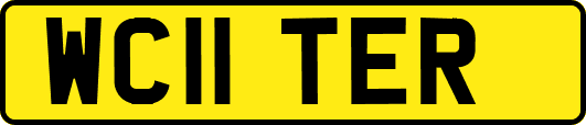 WC11TER