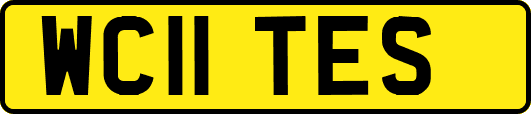 WC11TES
