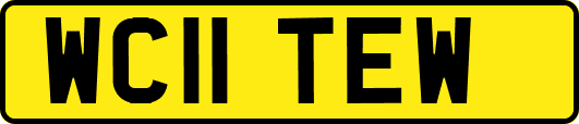 WC11TEW
