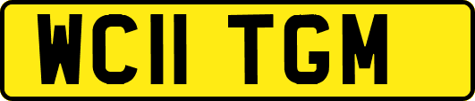 WC11TGM