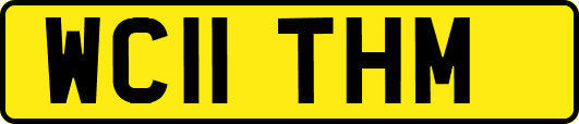 WC11THM