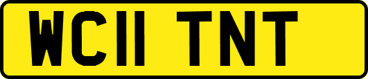 WC11TNT
