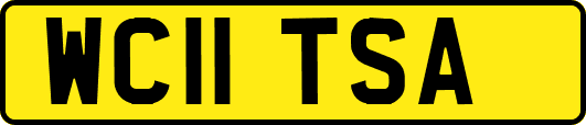 WC11TSA