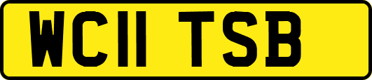 WC11TSB