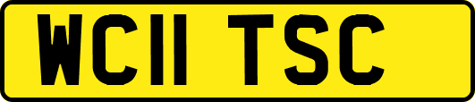 WC11TSC