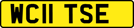 WC11TSE