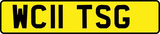 WC11TSG
