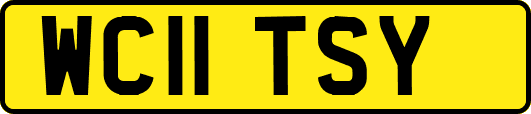 WC11TSY