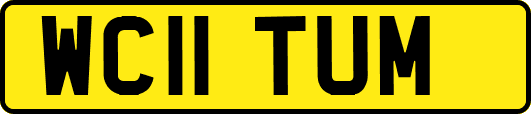 WC11TUM