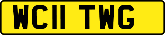 WC11TWG