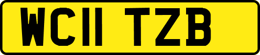 WC11TZB