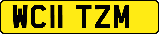 WC11TZM