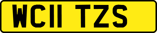 WC11TZS