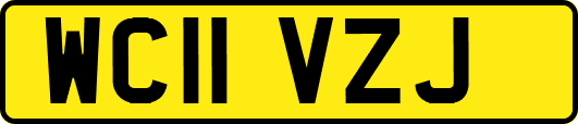 WC11VZJ