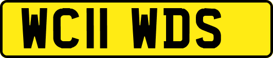 WC11WDS