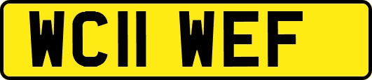 WC11WEF