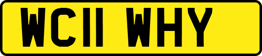 WC11WHY