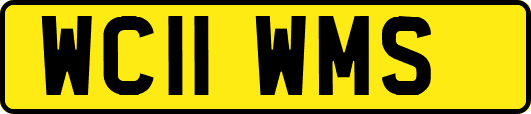 WC11WMS