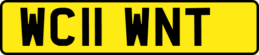WC11WNT