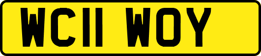 WC11WOY