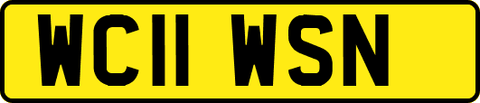 WC11WSN