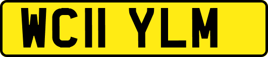 WC11YLM