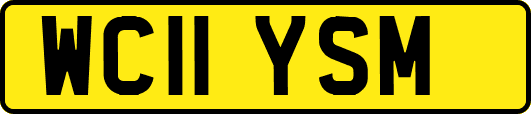 WC11YSM