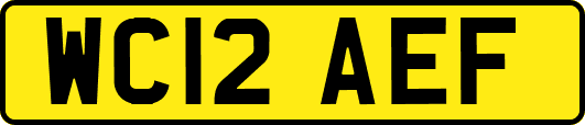 WC12AEF