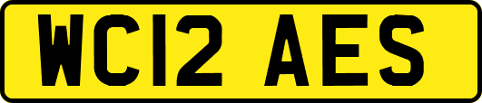 WC12AES