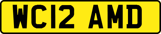 WC12AMD