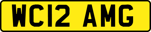 WC12AMG