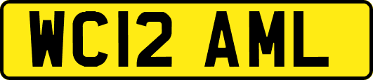 WC12AML