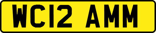 WC12AMM