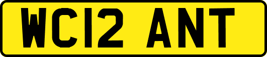 WC12ANT