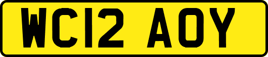 WC12AOY
