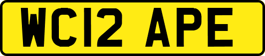 WC12APE