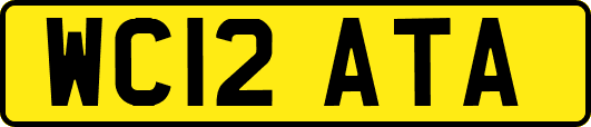WC12ATA