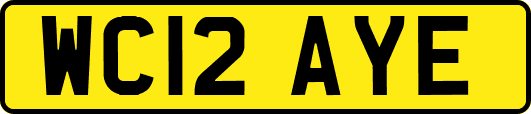 WC12AYE