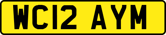 WC12AYM