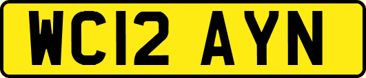 WC12AYN