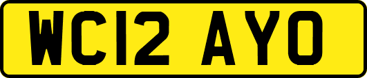 WC12AYO