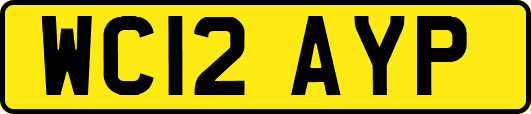 WC12AYP