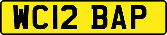 WC12BAP