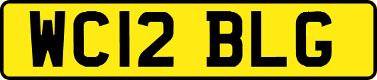 WC12BLG