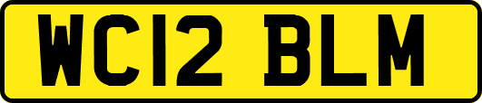 WC12BLM